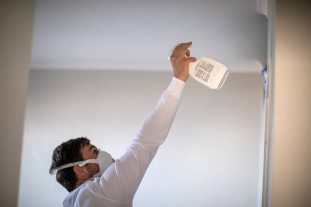 Best Mold Testing  in Ionia, MI