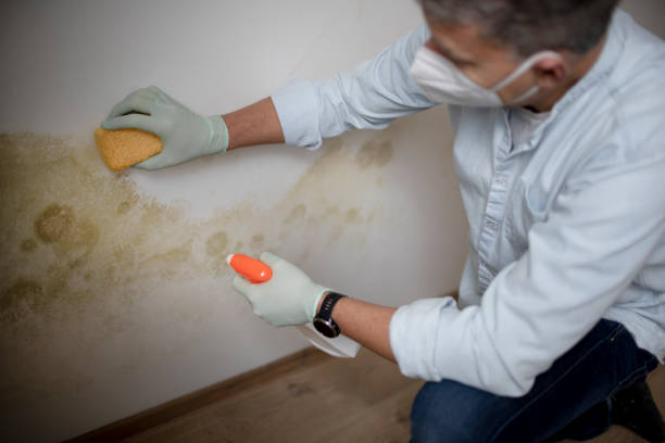 Water Damage Restoration in Ionia, MI