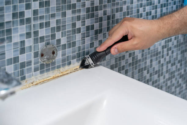 Best Best Mold Removal Companies  in Ionia, MI